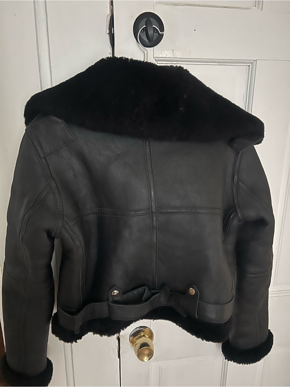 Authentic Shearling Aviator - Picture 3 of 3